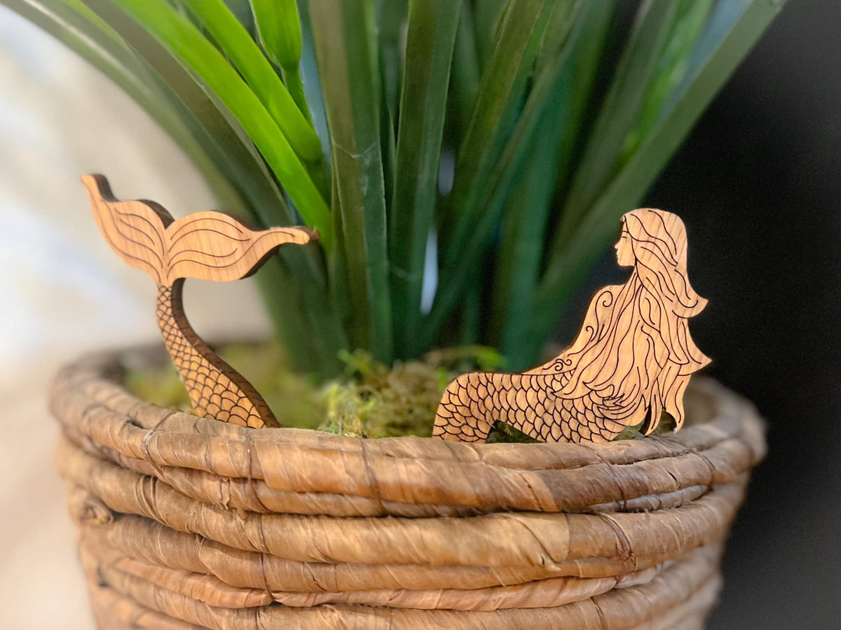 Plant Buddies