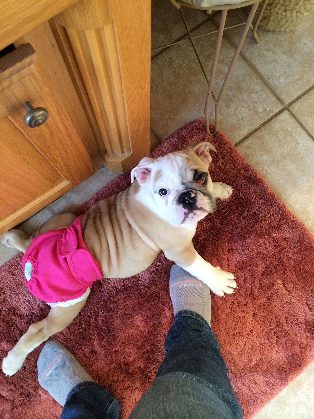 Stella’s Story