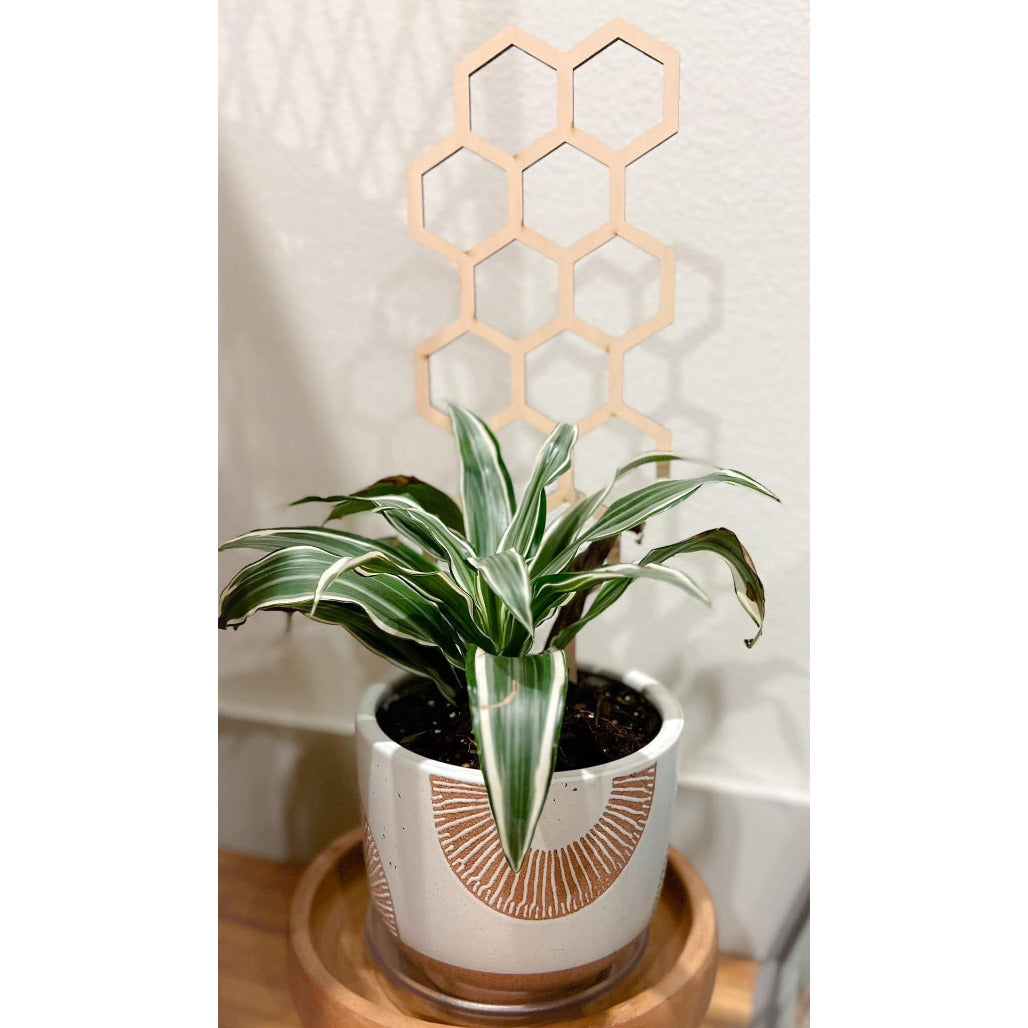A beige wooden plant trellis with a natural finish, placed in a white pot with a plant growing on it.