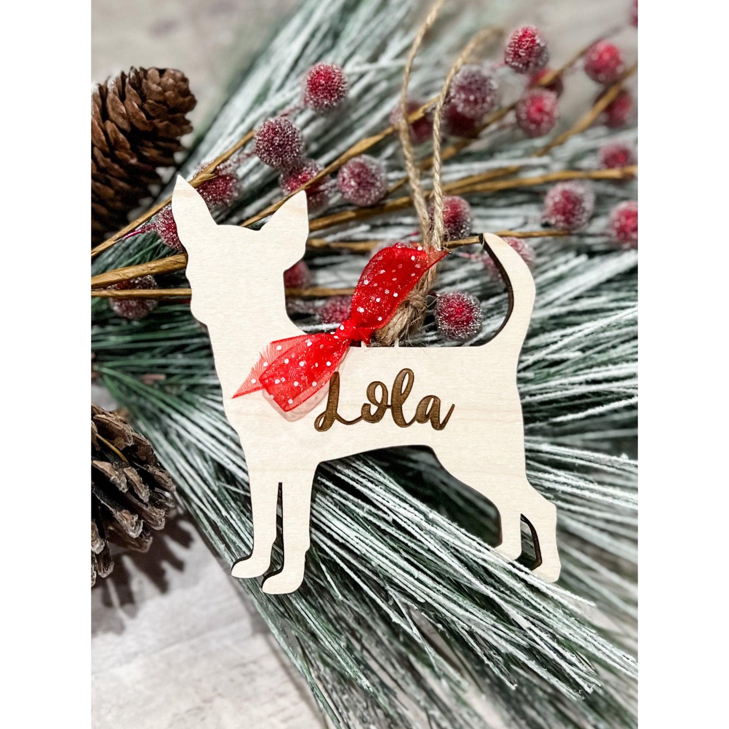 Personalized Pet Ornaments