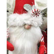 Load image into Gallery viewer, Handmade Gnomes - Speciality Collection